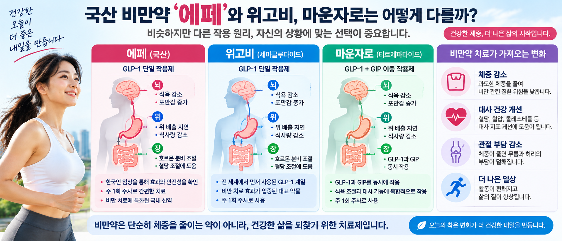 에페 위고비 마운자로의 GLP-1 및 GIP 작용 원리 비교